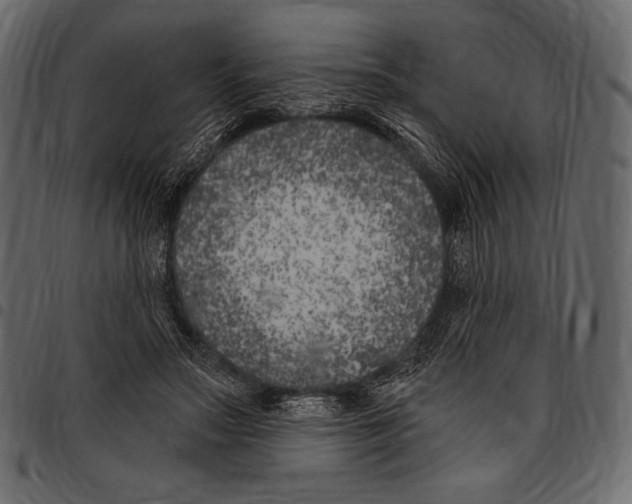 X0000097470499200803201451