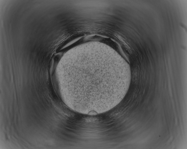 X0000097470500200803201451