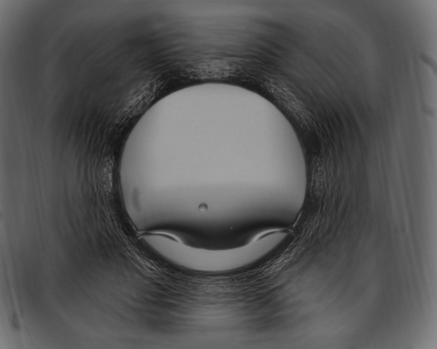 X0000097470501200803201451