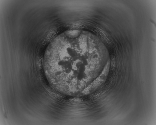 X0000097470503200803201451