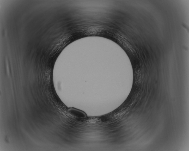 X0000097470505200803201451