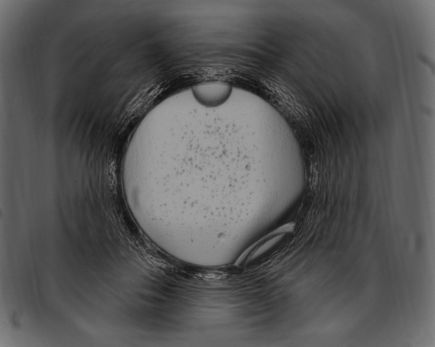 X0000097470506200803201451