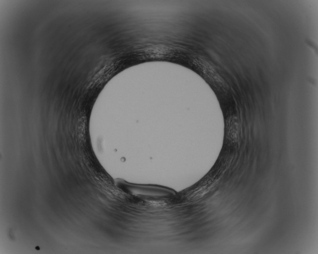 X0000097470509200803201451