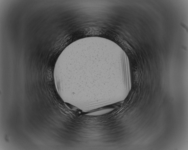 X0000097470517200803201450