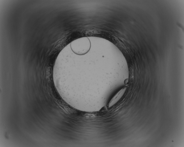 X0000097470519200803201450