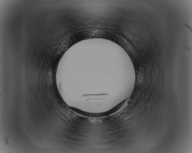 X0000097470520200803201450