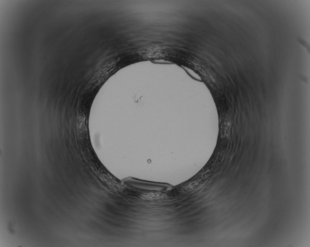 X0000097470521200803201450