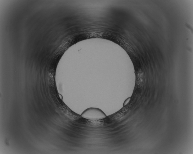 X0000097470522200803201450