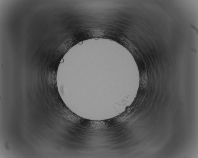 X0000097470525200803201450