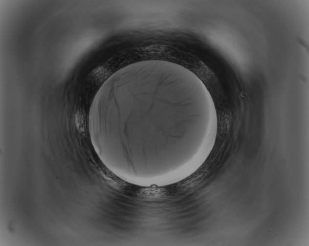 X0000097470526200803201450