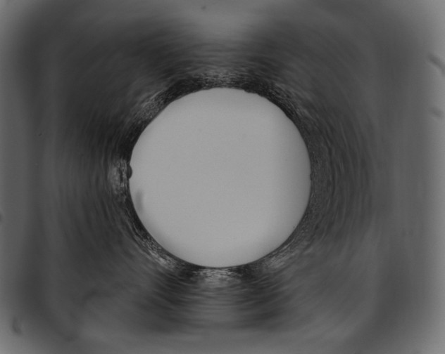 X0000097470528200803201450