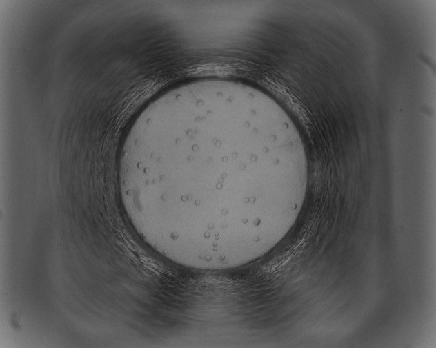 X0000097470529200803201450