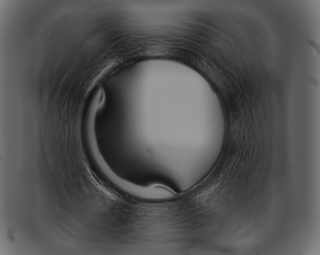 X0000097470530200803201450