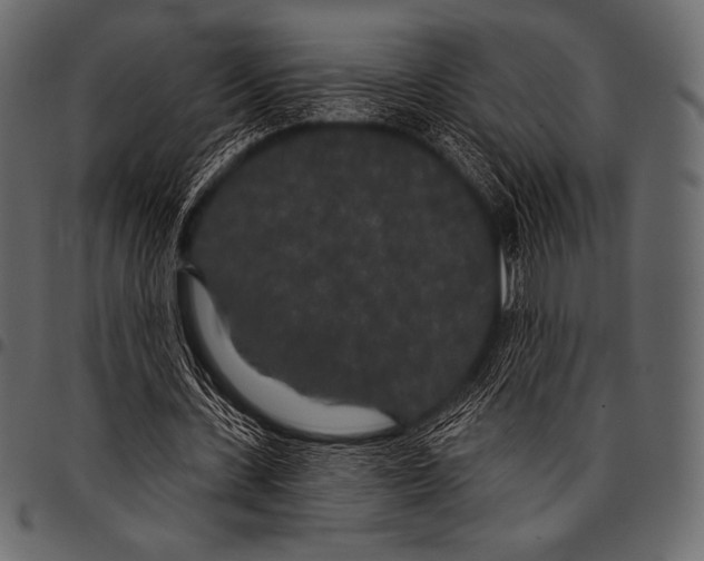 X0000097470531200803201450