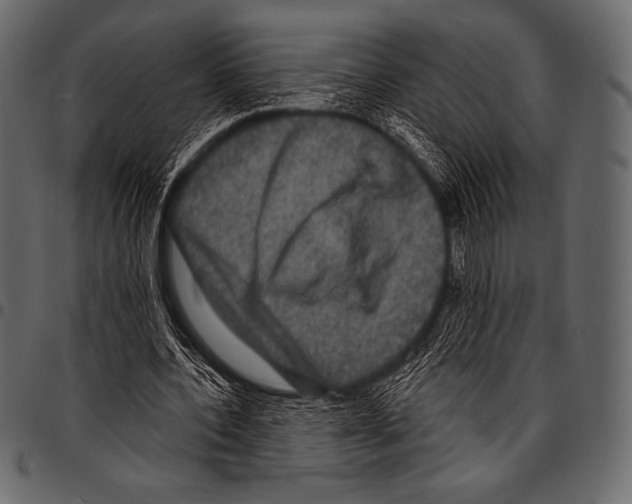 X0000097470532200803201450