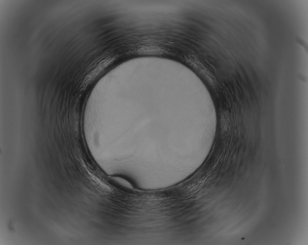 X0000097470533200803201450