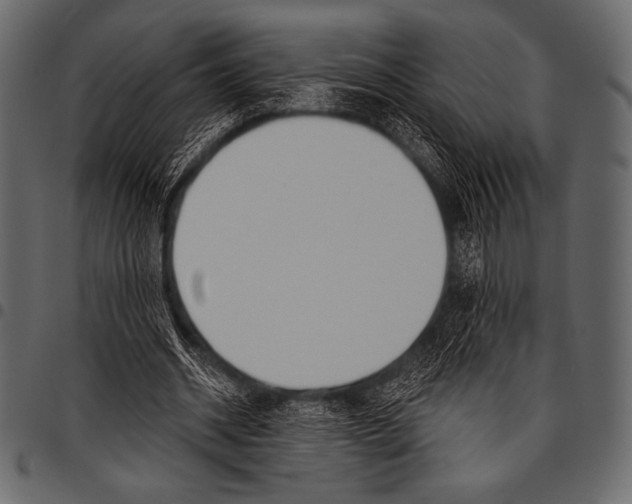 X0000097470534200803201450