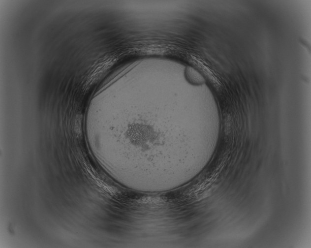 X0000097470537200803201450