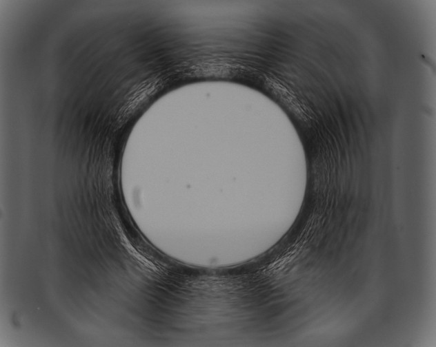 X0000097470538200803201450