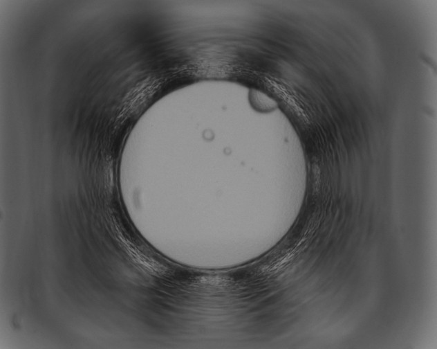 X0000097470541200803201450