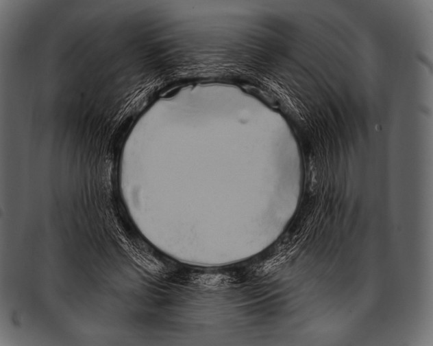 X0000097470542200803201450