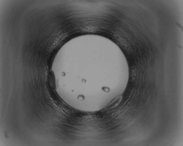 X0000097470544200803201450