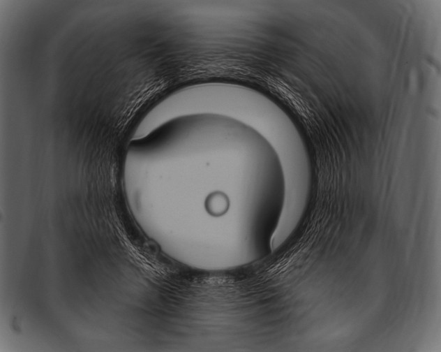 X0000097470546200803201450