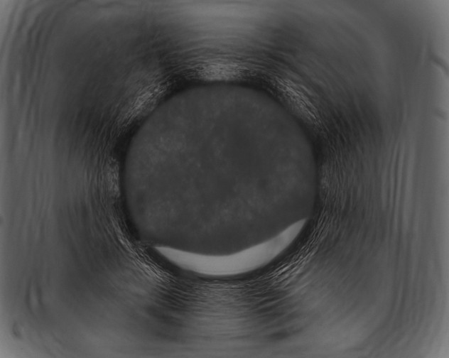 X0000097470547200803201450