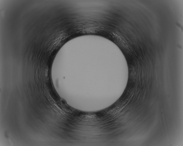 X0000097470548200803201450