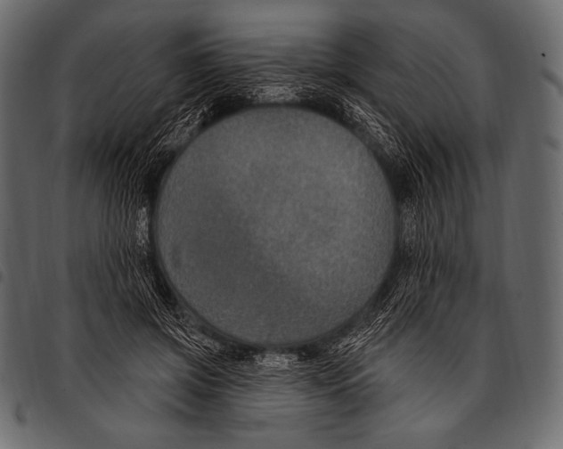 X0000097470549200803201450