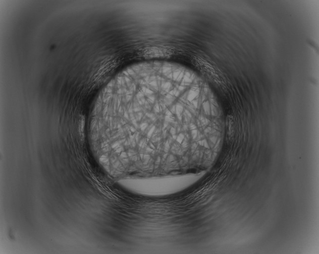 X0000097470550200803201450