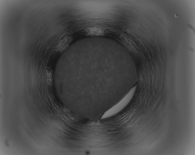 X0000097470551200803201450