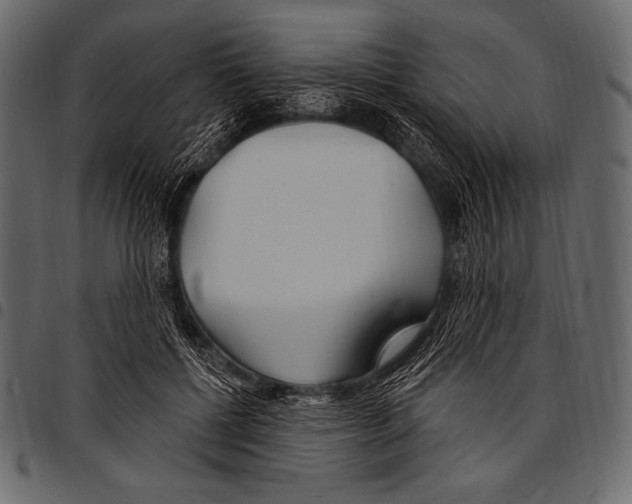 X0000097470552200803201450