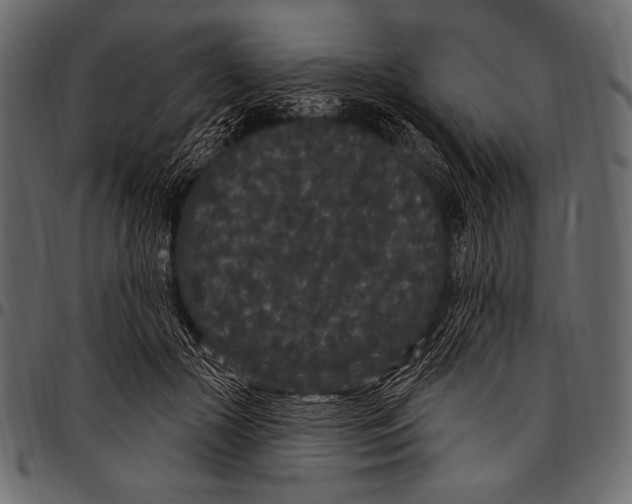 X0000097470553200803201450