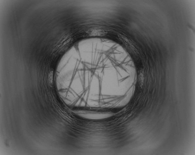 X0000097470554200803201450