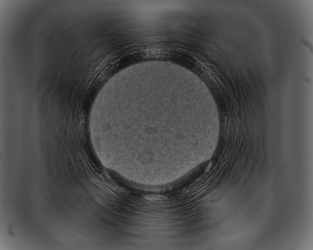 X0000097470557200803201450