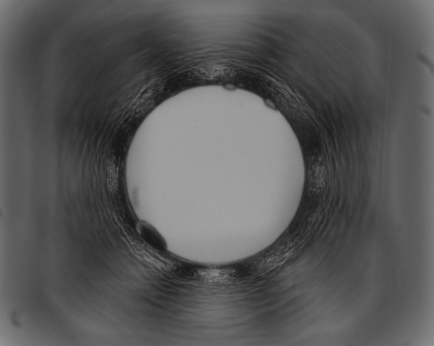 X0000097470558200803201450