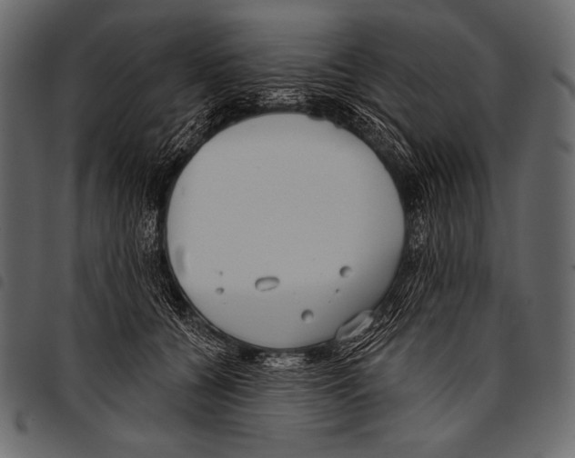 X0000097470560200803201450