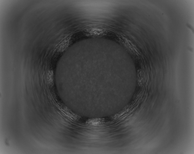 X0000097470563200803201450