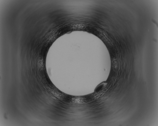 X0000097470564200803201450