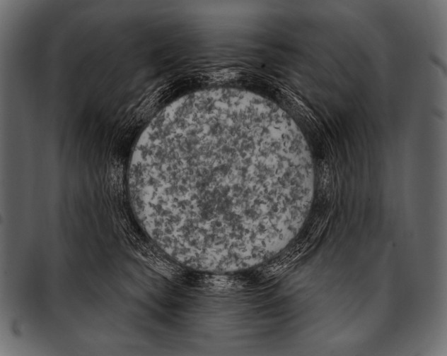 X0000097470565200803201450