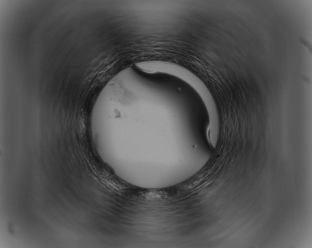 X0000097470566200803201450