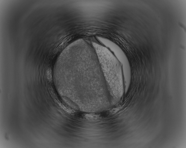 X0000097470568200803201450