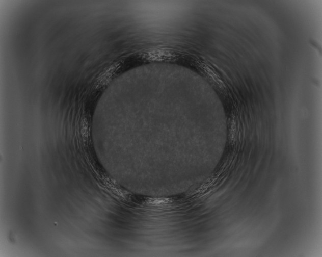 X0000097470569200803201450