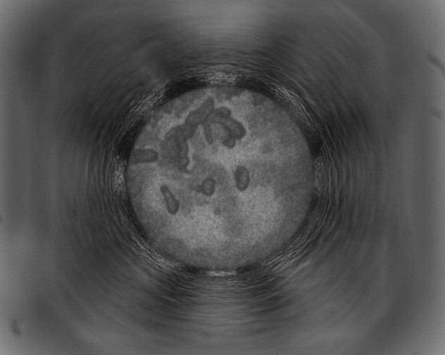 X0000097470573200803201450