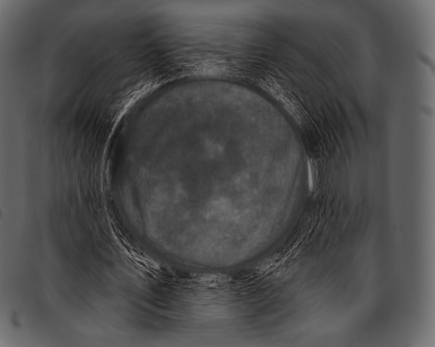 X0000097470579200803201450