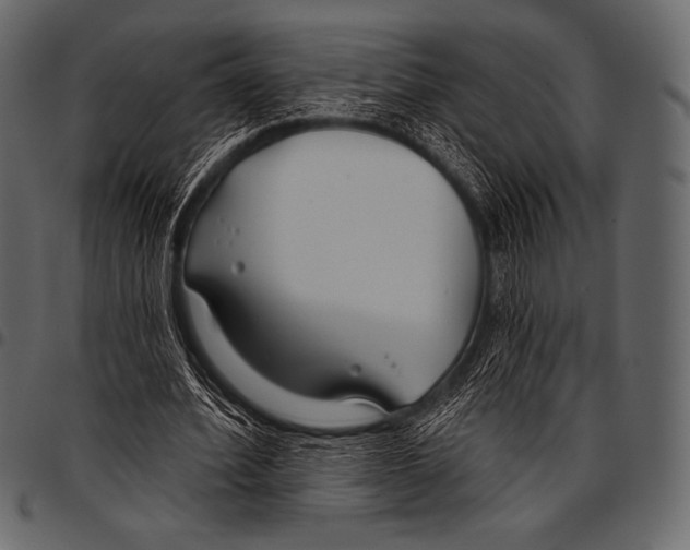 X0000097470580200803201450