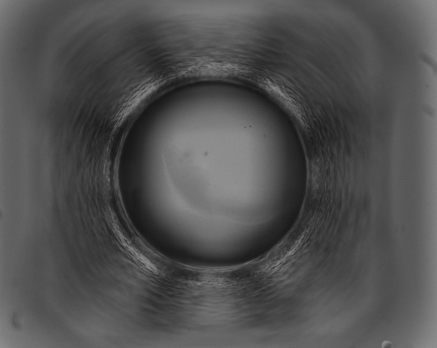 X0000097470581200803201450