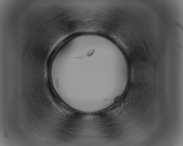 X0000097470584200803201450