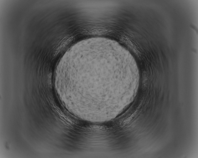 X0000097470585200803201450